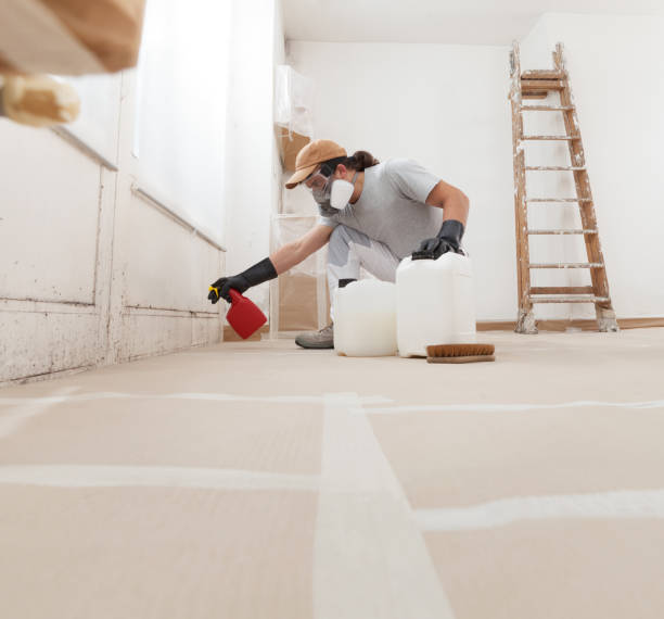 Professional Mold Removal in Kaysville, UT